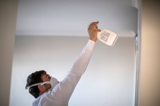 Best Professional Mold Removal  in California, MO