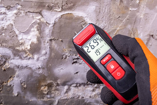 Best Water Damage Restoration  in California, MO
