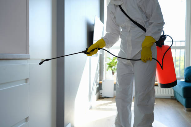 Best Commercial Mold Removal  in California, MO