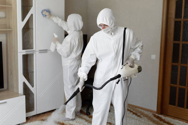 Best Certified Mold Removal  in California, MO