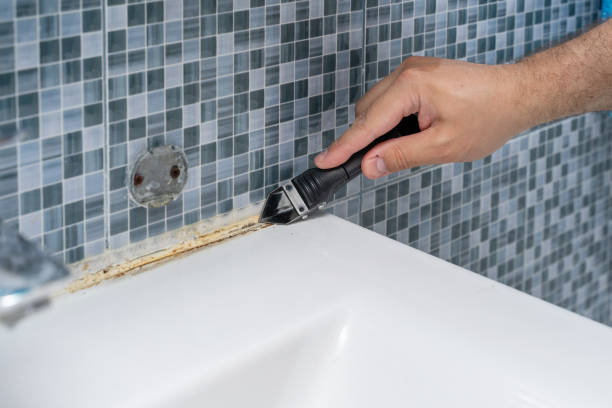 Best Best Mold Removal Companies  in California, MO
