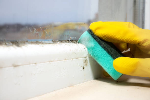 Water Damage Restoration in California, MO
